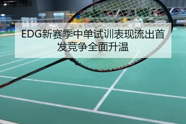 EDG新赛季中单试训表现流出首发竞争全面升温