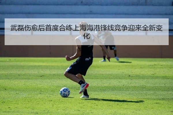 武磊伤愈后首度合练上海海港锋线竞争迎来全新变化