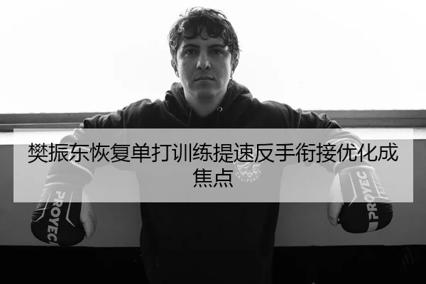 樊振东恢复单打训练提速反手衔接优化成焦点