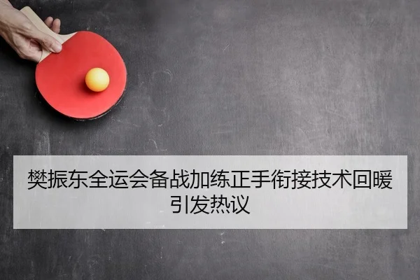 樊振东全运会备战加练正手衔接技术回暖引发热议